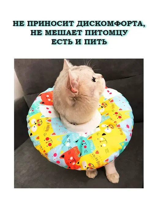 Воротник для кошек и собак ветеринарный "Котики", голубой, фото 4