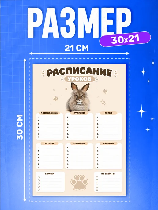 Наклейки за Копейки Расписание уроков настенное мем Черемша, белый, фото 2