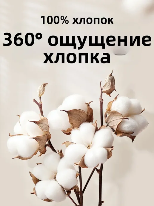 Белые хлопковые трусики для малышей (80, 9-18мес, 4 шт), 4 шт, фото 2