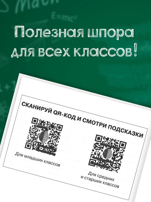 LISTOFF Дневник школьный 1-4 5-11 класс, гибкая обложка, серый, фото 8