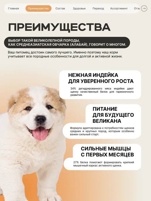 Сухой корм QUATTRO Алабай для собак, щенки, индейка, 12 кг, фото 2
