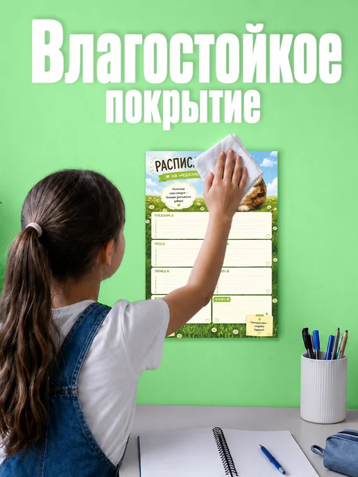 Наклейки за Копейки Расписание настенное вертикальное Котость, голубой, фото 4