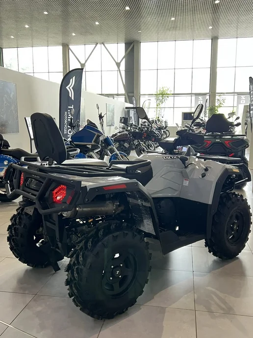 Hisun Квадроцикл TACTIC 750 LIMITED HS750ATV, серый, фото 3
