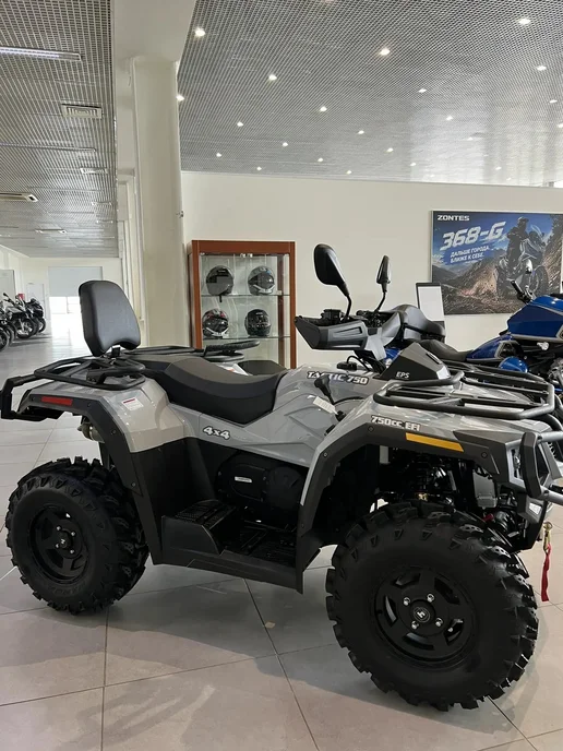 Hisun Квадроцикл TACTIC 750 LIMITED HS750ATV, серый, фото 4