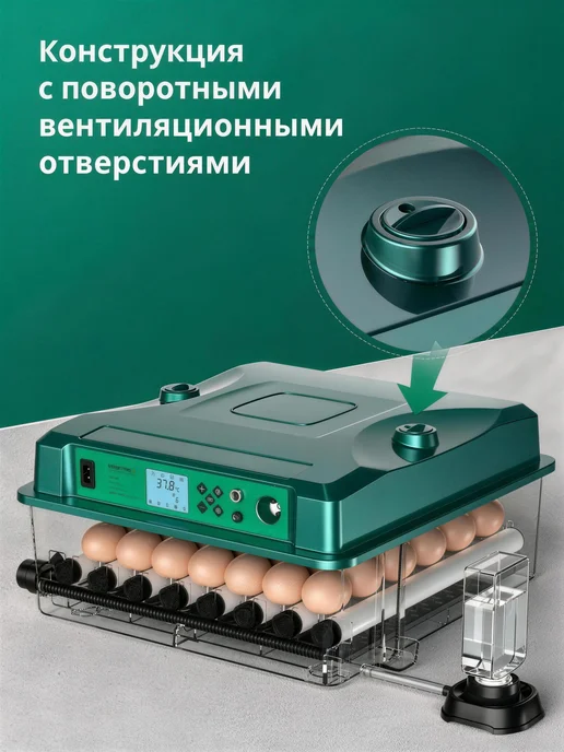Инкубатор для яиц автоматический 64, зеленый, фото 2