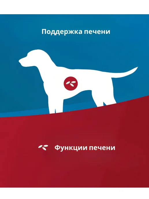 Сухой корм VetLife Hepatic Печени для собак, 2 кг, фото 2