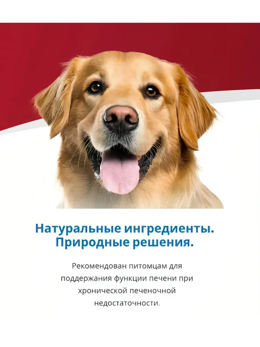 Сухой корм VetLife Hepatic Печени для собак, 2 кг, фото 7