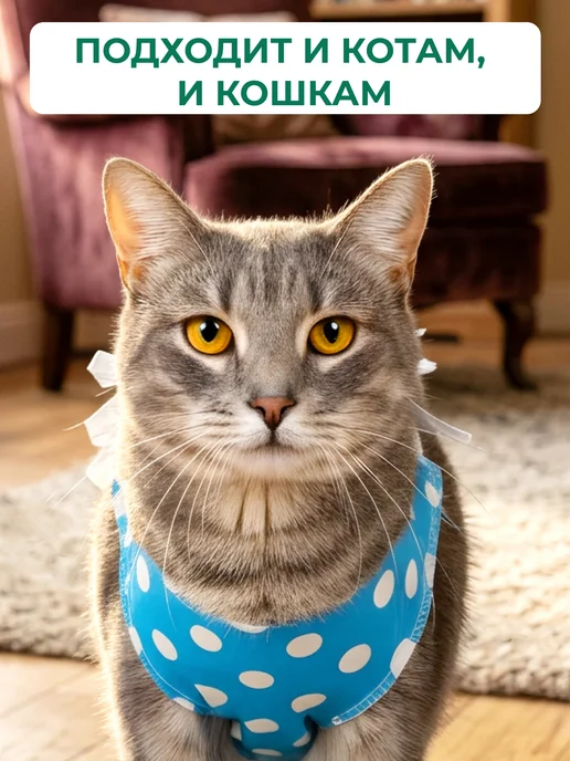 Pet-it Попона для кошки послеоперационная №2 от 5 кг, 5 кг, фото 7