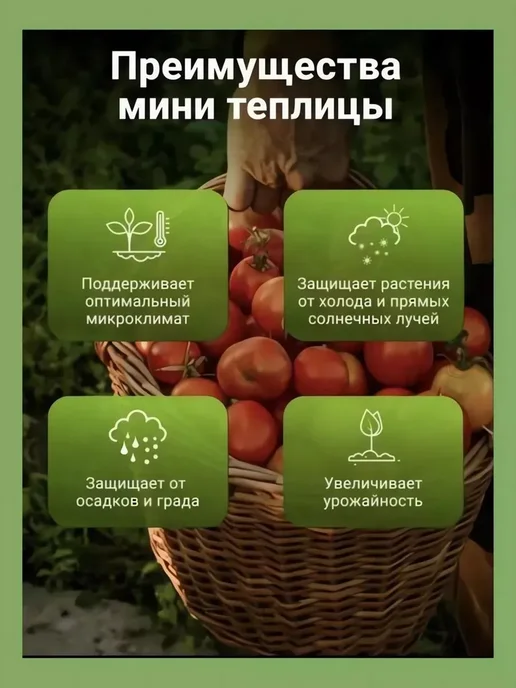 Парник теплица 5.65x2.68x1.86 м, 5.65x2.68x1.86 м, фото 8