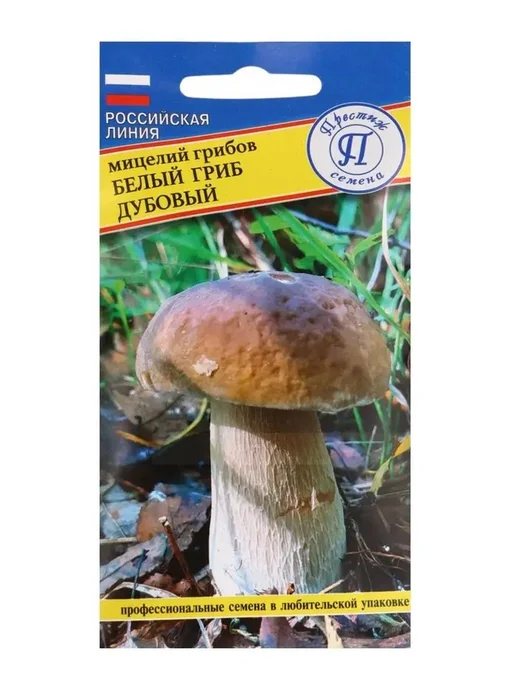 Мицелий белого дубового гриба для выращивания, белый