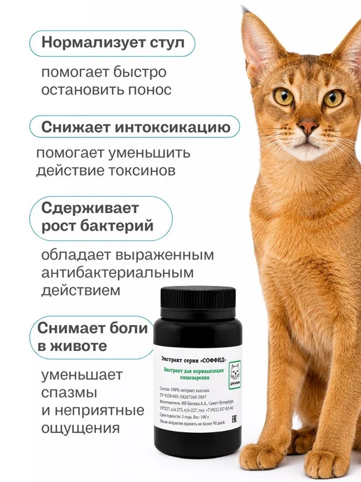 Экстракт для нормализации пищеварения для кошек, 100 гр, 100 г, фото 2