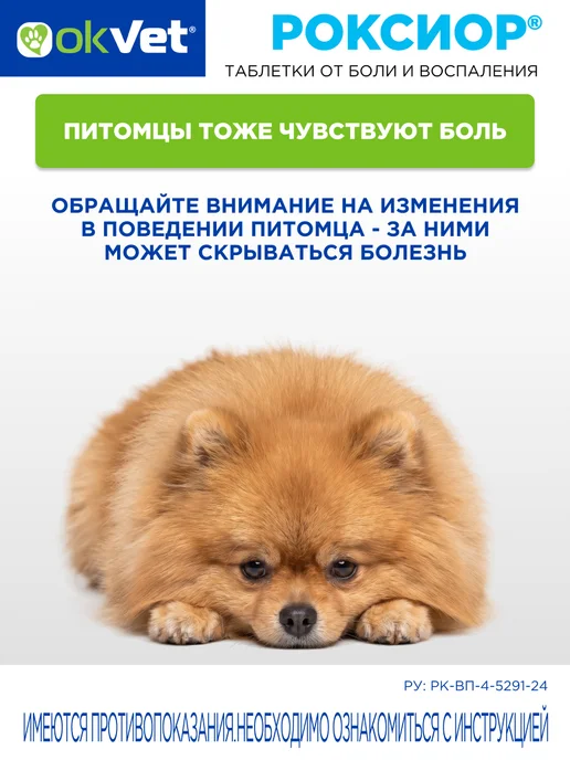 AVZ Обезболивающее для собак 2,5-5 кг Роксиор робенакоксиб 5 мг, 5 кг, фото 7