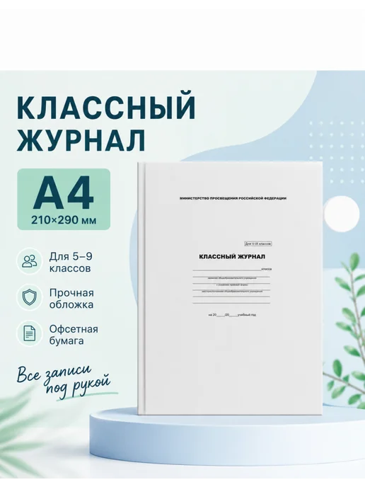 БиДжи Классный журнал для школы 5–9 классы, набор 3 шт, 3 шт, фото 2
