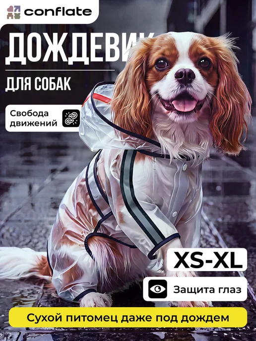 Conflate Дождевик для собак мелких пород, вариант