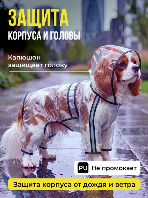 Conflate Дождевик для собак мелких пород, вариант, фото 2