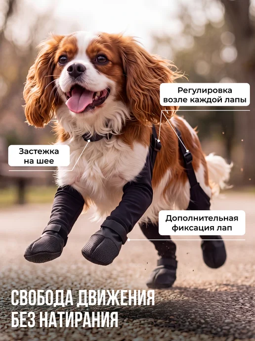 Conflate Обувь для собак с подтяжками, черный, фото 2