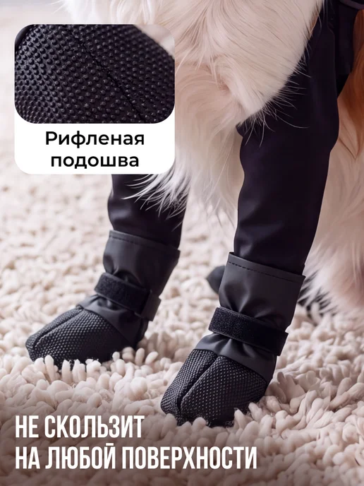 Conflate Обувь для собак с подтяжками, черный, фото 3