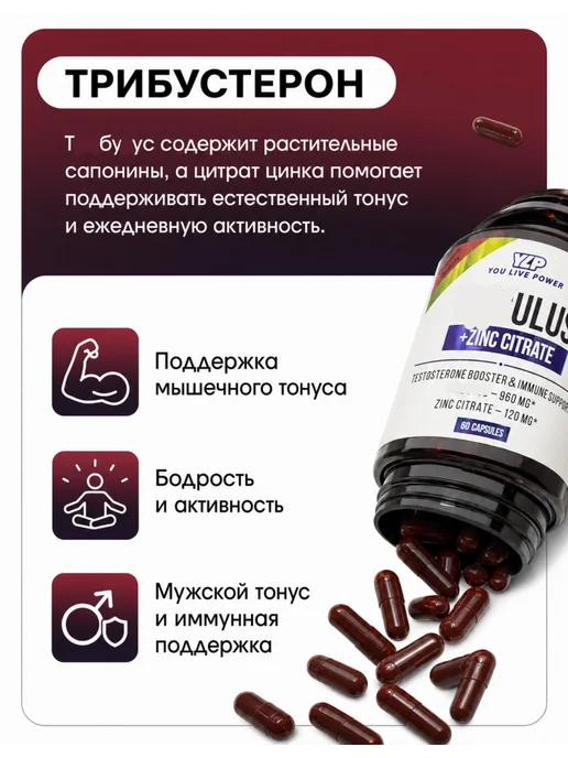 YLP Тестостерон 60 капсул бустер тестостерона для роста мышц, вариант, фото 2