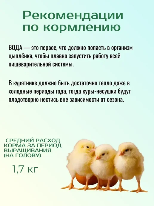 Алтайские_Корма Комбикорм для цыплят от 29 дней и старше 5кг, 5 кг, фото 5