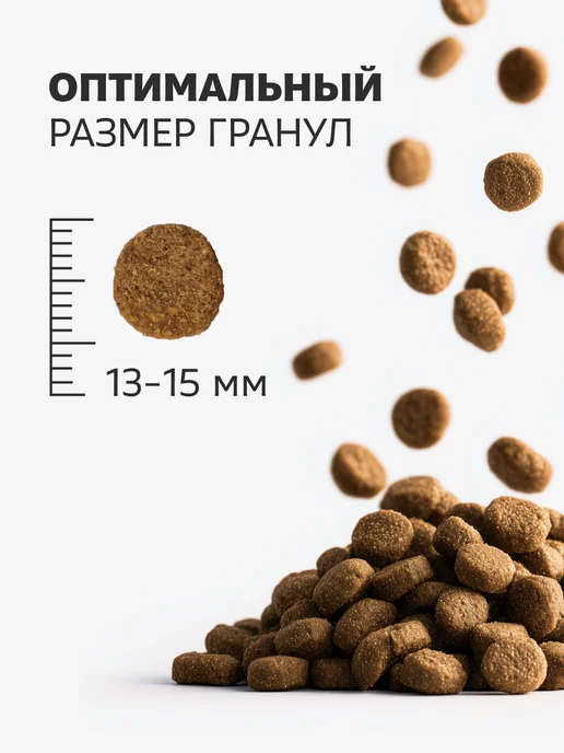 Сухой корм Smart Dog для собак, крупные, средние, курица, 0,8 кг, фото 4