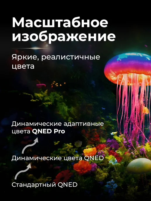 LG Телевизор смарт 75 дюймов 75QNED83B6A.ARUG 2026, черный, фото 2
