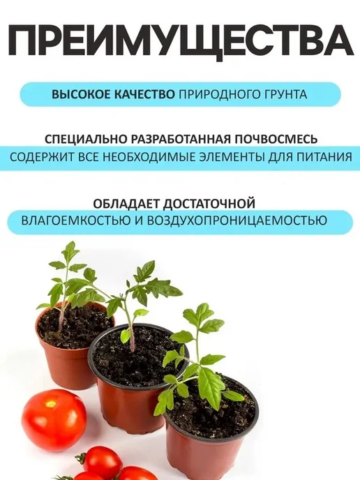Грунт для рассады — идеальное начало роста, вариант, фото 2