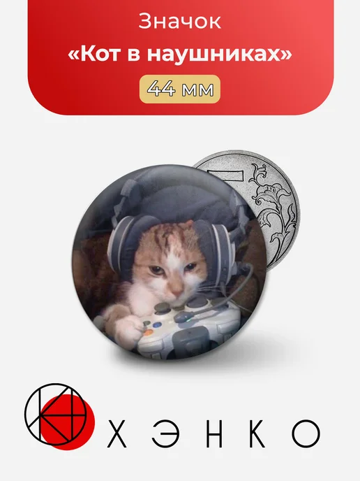 Кот в наушниках
