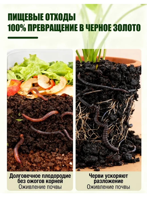 Компостер садовый круглый пластиковый усиленный, 3 x 1.7 л, 1,7 л, фото 8