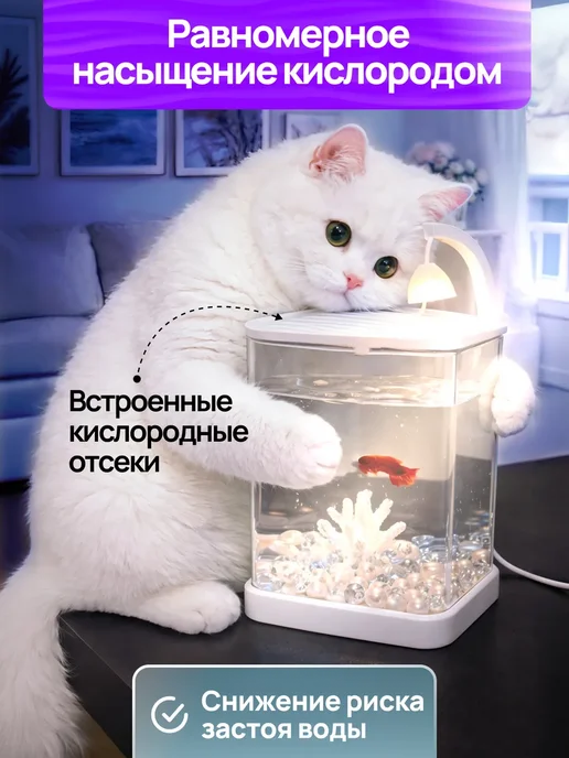 Аквариум-ночник для рыбок и петушка, белый, фото 5