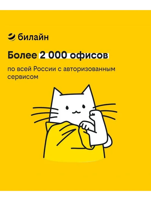 BQ Мобильный телефон 2842 Disco Boom Чёрный Голубой, черный, фото 8