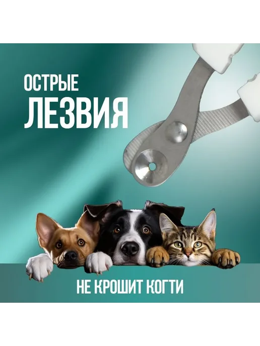 Когтерезка для кошек с ограничителем, вариант, фото 5