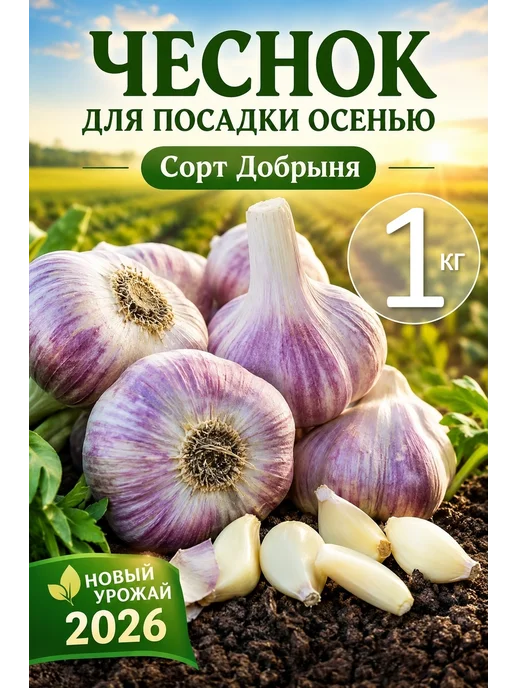 Луг да Плуг Чеснок сорт Добрыня озимый 1 кг, 1 кг