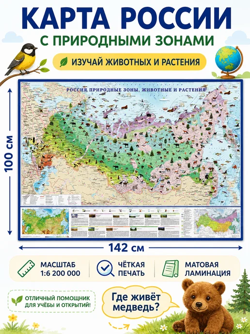 Атлас Принт Карта природных зон россии настенная для детей 142х100 см, 142x100 см