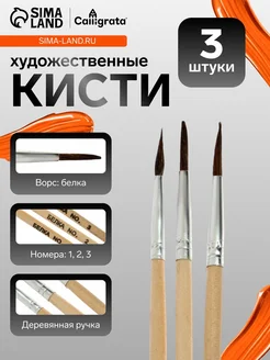Набор кистей для рисования, белка, 3 штуки № 1, 2, 3, кругл