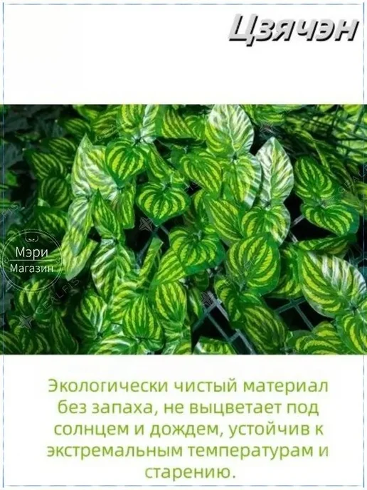 Заборные и ворота в сборе, вариант, фото 5