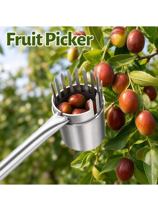 Сборщик фруктов из нержавеющей стали, для ягод, орехов, вариант, фото 2