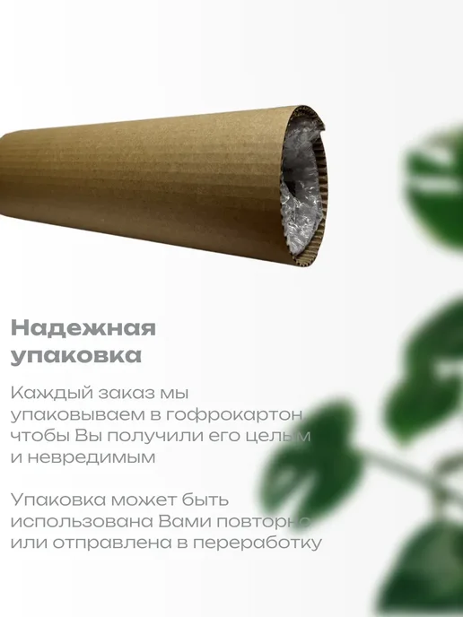 ECLTC Подарочная "Грамота", A4, плотная типографская бумага, белый, фото 3