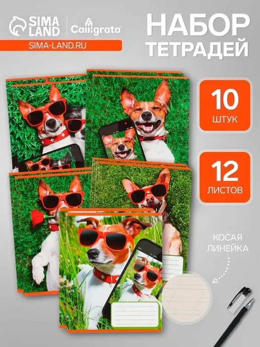 Элегантный набор тетрадей для деловых записей, вариант