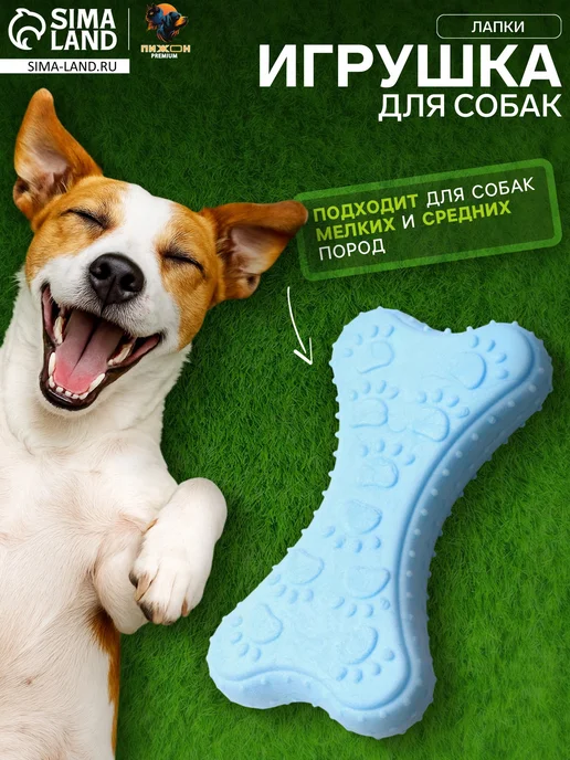 Плавающая игрушка для собак "Лапки", TPR, голубая, голубой