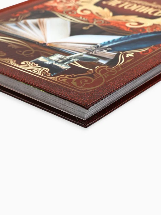 Родословная книга "Семейная летопись", 27,5 х 25 см, 16.5x24 см, фото 3