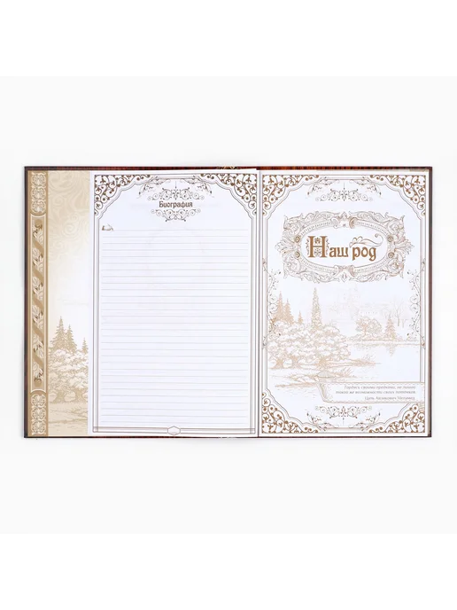 Родословная книга Дерево 22х31 см 100 страниц, вариант, фото 5