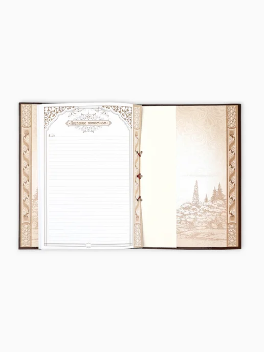 Родословная книга "Семейная летопись", перо, 50 листов, 22 х 31 см, 22x31, фото 6