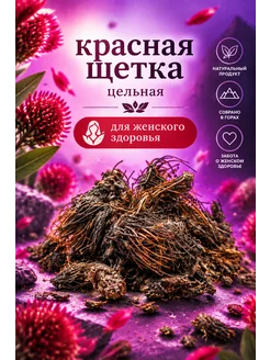 Красная щетка корень 50 гр бутончики