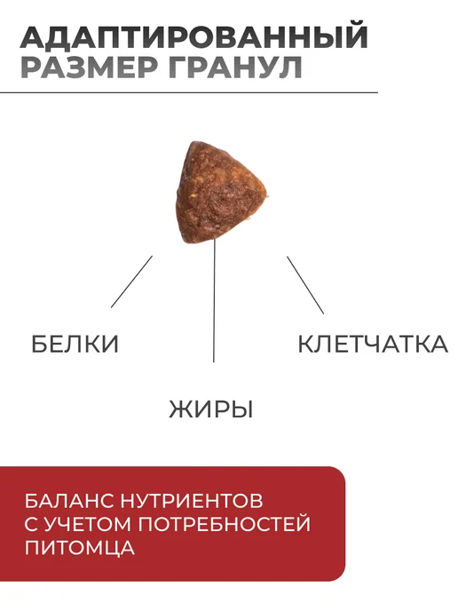 Сухой корм AWARD Special Care для собак, взрослые, 12,1 кг, фото 2