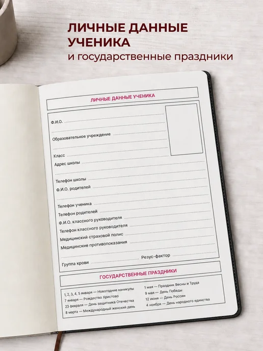 Дневник школьный 1-11 класс, твердая обложка с резинкой, вариант, фото 4