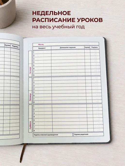 Дневник школьный 1-11 класс, твердая обложка с резинкой, вариант, фото 7
