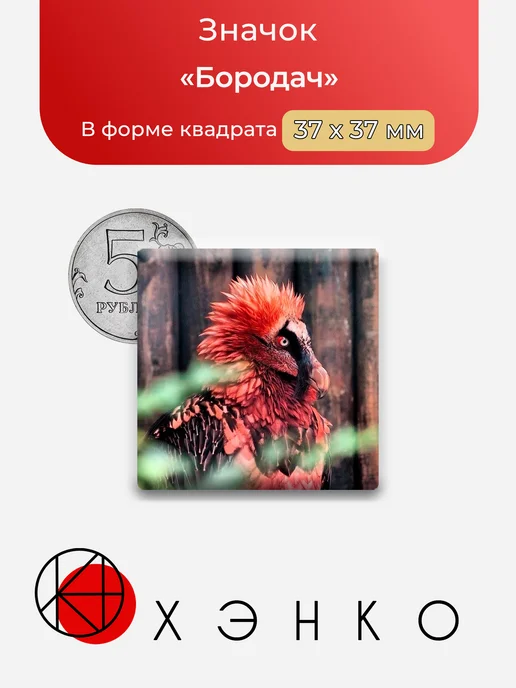Значок с хищной птицей «Бородач»