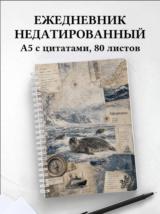 Вариант 243 (seals)