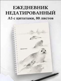 Вариант 243 (seals)