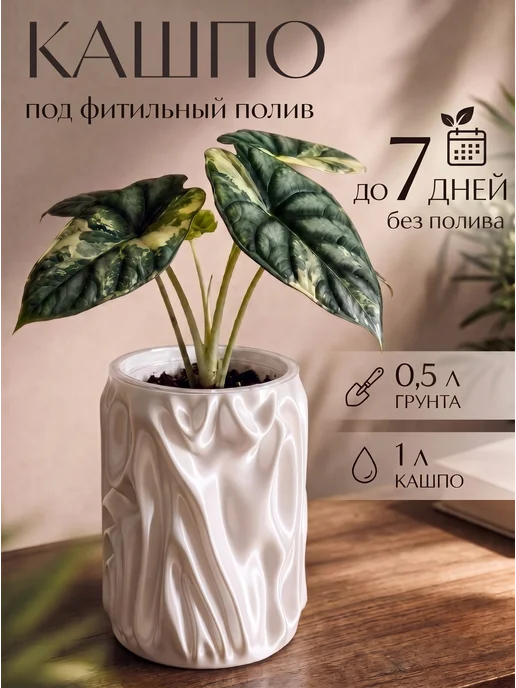 лесок Кашпо с фитильным поливом для цветов, вариант